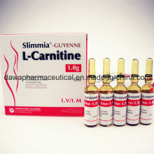 Stock para Envelhecimento Corporal e Cosméticos 2g / 5ml L-Carnitina Injeção